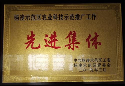 杨凌示范区农业科技示范推广工作先进集体